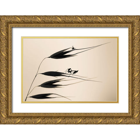 Gone With The Wind Gold Ornate Wood Framed Art Print with Double Matting by Bravin, Fabien