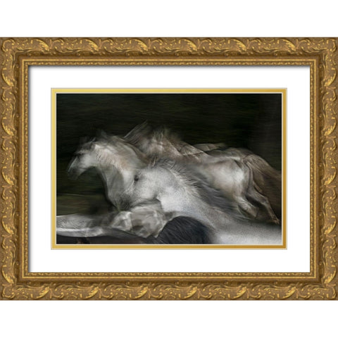 Into The Dark Gold Ornate Wood Framed Art Print with Double Matting by Malovrh, Milan