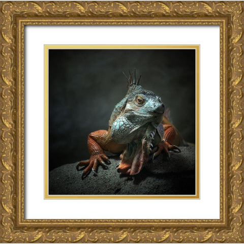 I Am The King ,.. Who Else ! Gold Ornate Wood Framed Art Print with Double Matting by Droste, Holger