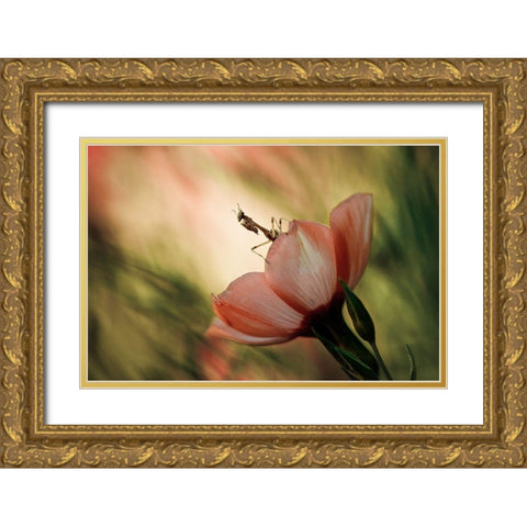 Juliet On The Balcony Gold Ornate Wood Framed Art Print with Double Matting by Bravin, Fabien