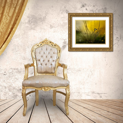 A Golden Morning Shower Gold Ornate Wood Framed Art Print with Double Matting by Westum, Heidi