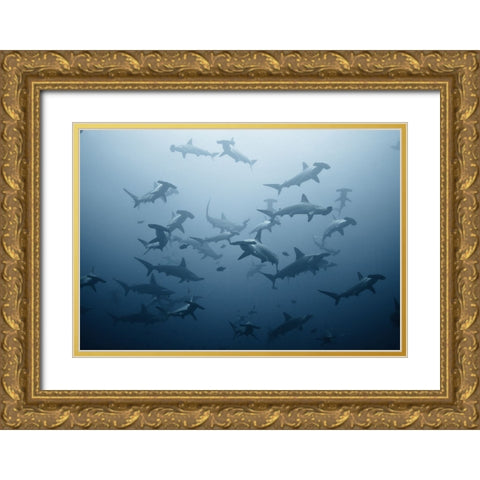 Swarming Gold Ornate Wood Framed Art Print with Double Matting by Safonov, Alexander
