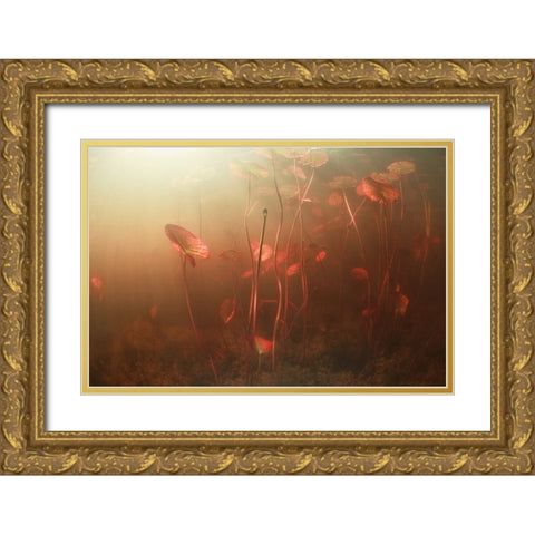 Lines World Gold Ornate Wood Framed Art Print with Double Matting by Narchuk, Andrey