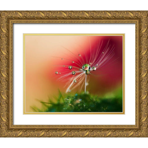 Red Morning Gold Ornate Wood Framed Art Print with Double Matting by Westum, Heidi