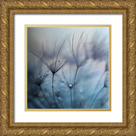 Teardrops Gold Ornate Wood Framed Art Print with Double Matting by Irthum, Mathieu