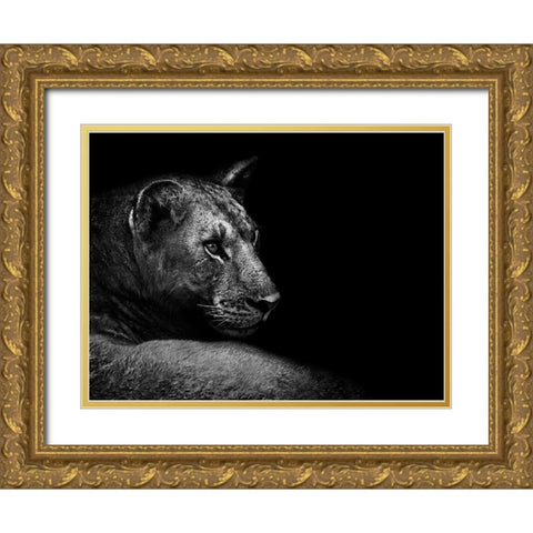 Lion Gold Ornate Wood Framed Art Print with Double Matting by Wildphotoart