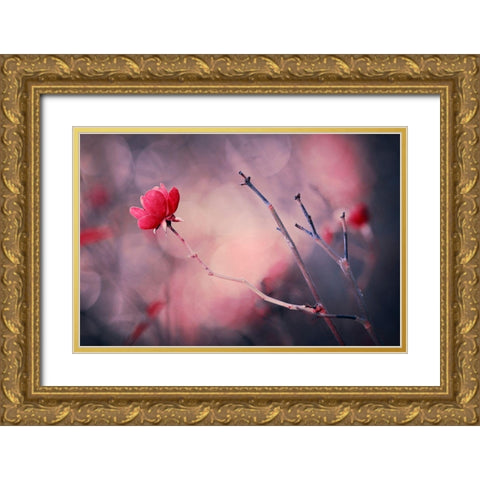 Rose Gold Ornate Wood Framed Art Print with Double Matting by Ajkabajka