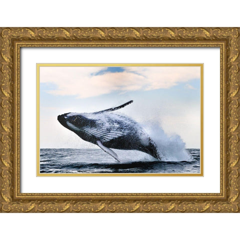 Breach Gold Ornate Wood Framed Art Print with Double Matting by Safonov, Alexander