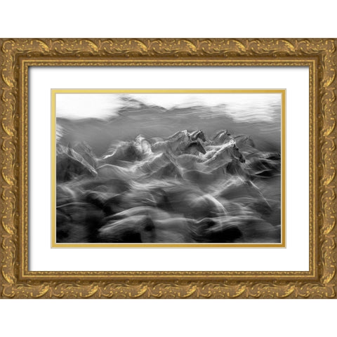 Dir Gold Ornate Wood Framed Art Print with Double Matting by Malovrh, Milan