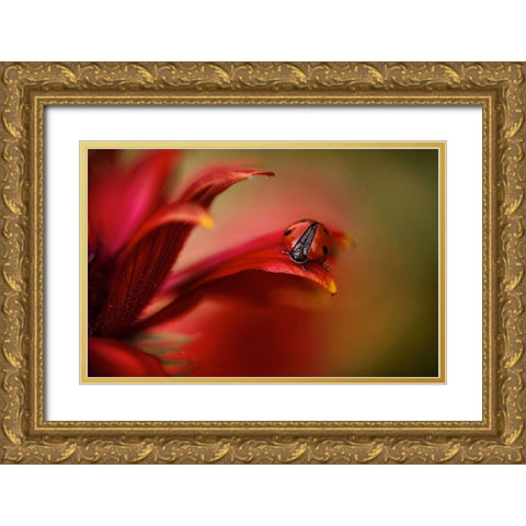 Simply Red Gold Ornate Wood Framed Art Print with Double Matting by Disher, Mandy