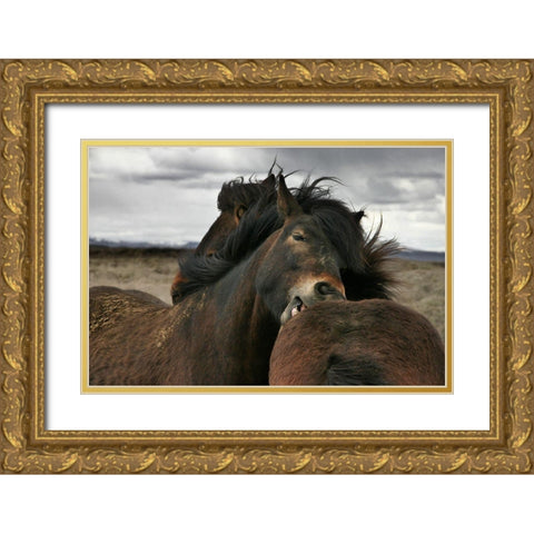 Close Gold Ornate Wood Framed Art Print with Double Matting by Ingibergsson, Bragi