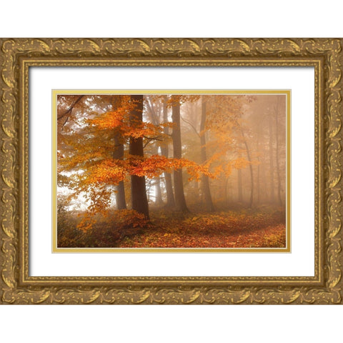 Edge Of The Woods Gold Ornate Wood Framed Art Print with Double Matting by Schumacher, Nicolas