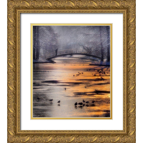 Frozen Lake Gold Ornate Wood Framed Art Print with Double Matting by Andreescu, Cristian