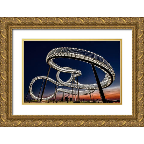 Tiger And Turtle At Dawn Gold Ornate Wood Framed Art Print with Double Matting by Schmidtke, Holger