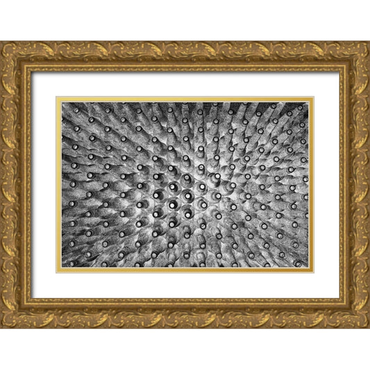 Perspective Image