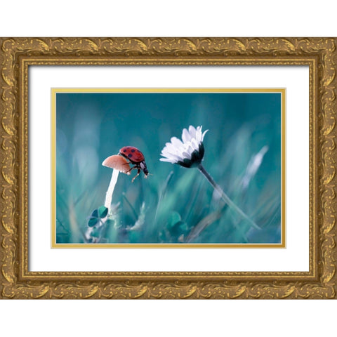 The Story Of The Lady Bug That Tries To Convice The Mushroom To Have A Date With The Beautiful Daisy Gold Ornate Wood Framed Art Print with Double Matting by Bravin, Fabien
