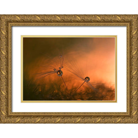 Forest Fire Gold Ornate Wood Framed Art Print with Double Matting by Westum, Heidi