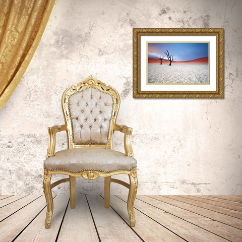 Mist Over Deadvlei Gold Ornate Wood Framed Art Print with Double Matting by Mcrae, Ben