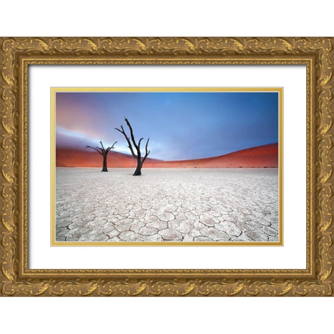 Mist Over Deadvlei Gold Ornate Wood Framed Art Print with Double Matting by Mcrae, Ben