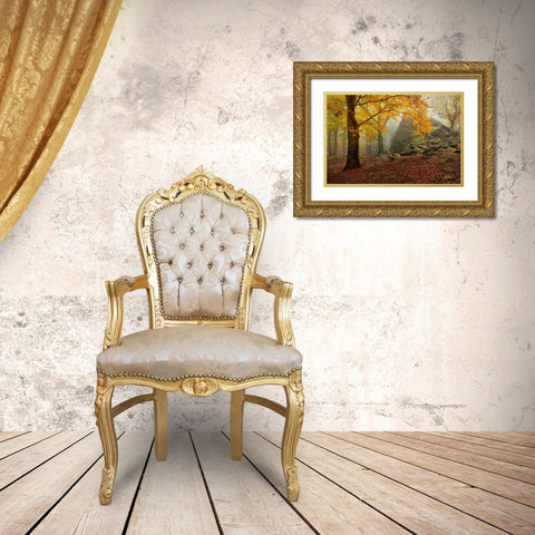 Autumn Forest Gold Ornate Wood Framed Art Print with Double Matting by Rericha, Daniel