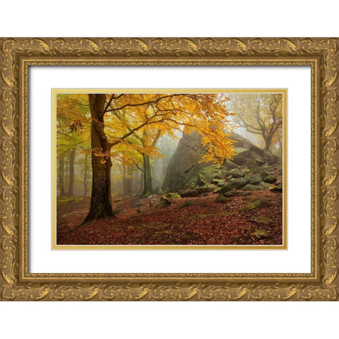 Autumn Forest Gold Ornate Wood Framed Art Print with Double Matting by Rericha, Daniel