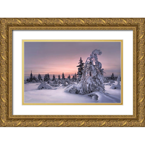 Lappland - Winterwonderland Gold Ornate Wood Framed Art Print with Double Matting by Schweiger, Christian