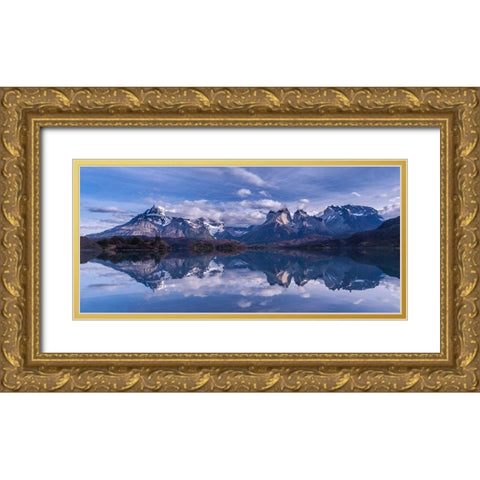 Torres Del Paine Gold Ornate Wood Framed Art Print with Double Matting by Driga, Vladimir