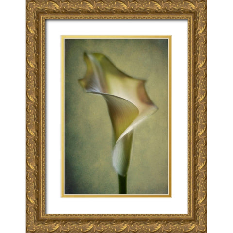 Calla Lily Gold Ornate Wood Framed Art Print with Double Matting by Andersen, Lotte
