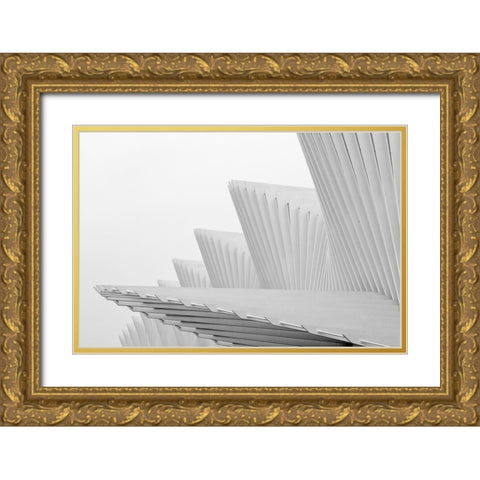 Fly Gold Ornate Wood Framed Art Print with Double Matting by Della Latta, Massimo