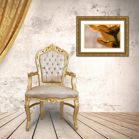 Protected Gold Ornate Wood Framed Art Print with Double Matting by Westum, Heidi