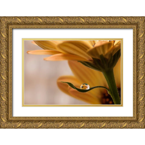 Protected Gold Ornate Wood Framed Art Print with Double Matting by Westum, Heidi