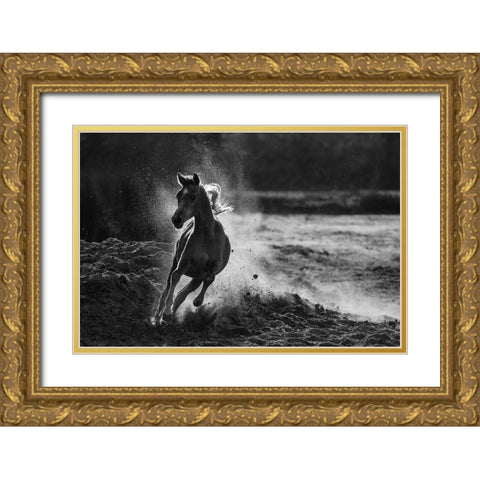 Take Off Gold Ornate Wood Framed Art Print with Double Matting by Alnaser, Mohammed