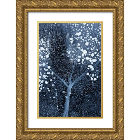 Winter Blossom Gold Ornate Wood Framed Art Print with Double Matting by Xu, Mei
