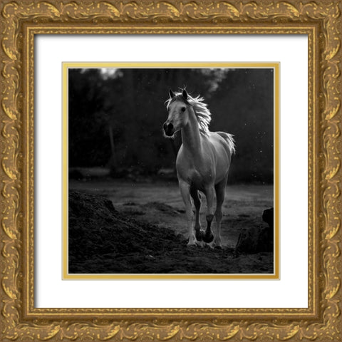 Coquetry Gold Ornate Wood Framed Art Print with Double Matting by Al-Saeed, Abdullah