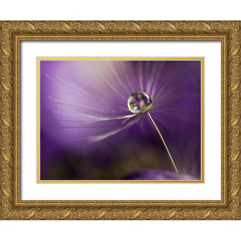 In Shades Of Purple Gold Ornate Wood Framed Art Print with Double Matting by Westum, Heidi