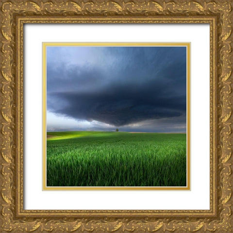 Thunderstorm Cell Over The Alb Plateau Gold Ornate Wood Framed Art Print with Double Matting by Schumacher, Nicolas