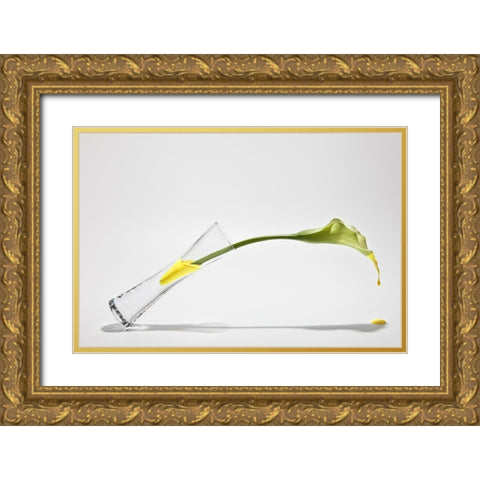 Calla Gold Ornate Wood Framed Art Print with Double Matting by Pabst, Christian