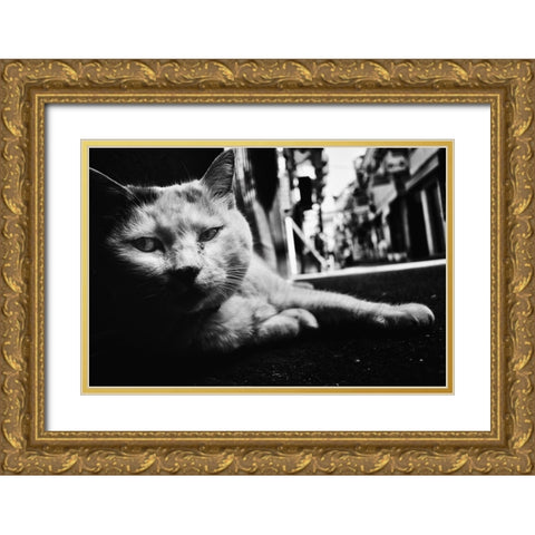 Cat Gold Ornate Wood Framed Art Print with Double Matting by Suzuki, Tatsuo