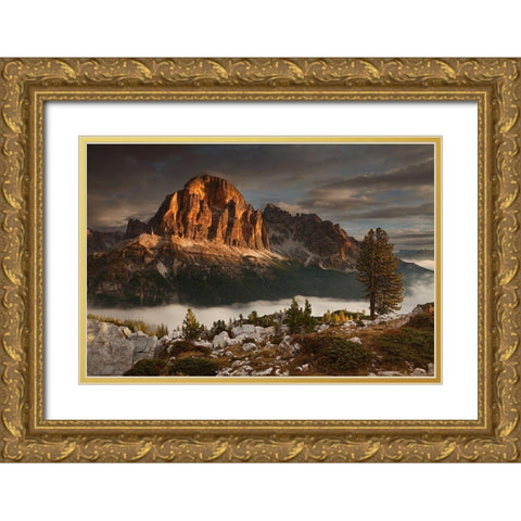 Tofana De Rozes Gold Ornate Wood Framed Art Print with Double Matting by Rericha, Daniel