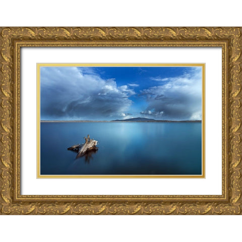 A Passage In Time Gold Ornate Wood Framed Art Print with Double Matting by Darek Mitrega, Izabela