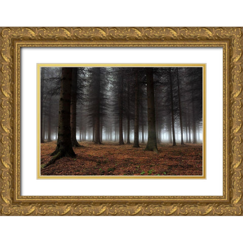 Place Of Silence Gold Ornate Wood Framed Art Print with Double Matting by Petrovic, Dragisa
