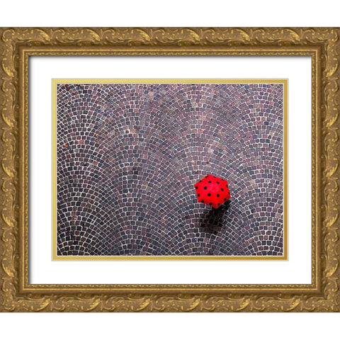 Urban Ladybug Gold Ornate Wood Framed Art Print with Double Matting by Maffei, Franco