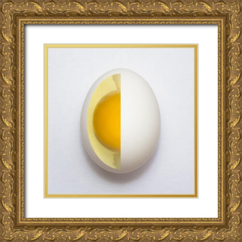 Inner Egg Gold Ornate Wood Framed Art Print with Double Matting by Alves, Adelino