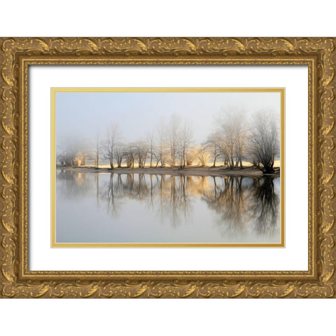 January Morning Gold Ornate Wood Framed Art Print with Double Matting by Bor