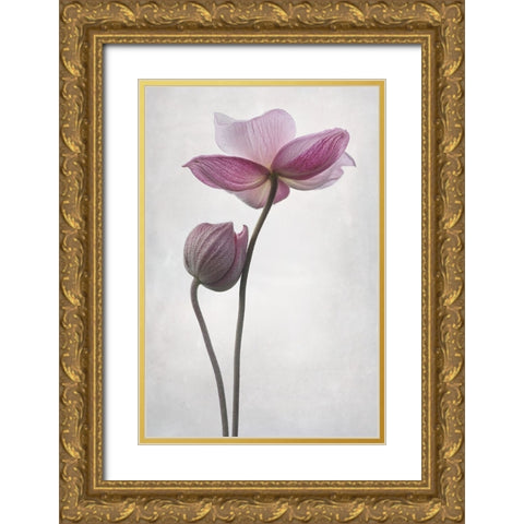 A Little Touch Gold Ornate Wood Framed Art Print with Double Matting by Gronkjar, Lotte