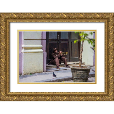 Playing For Pigeons Gold Ornate Wood Framed Art Print with Double Matting by Hatherill, Colin