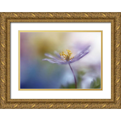 Springtime Watercolor Gold Ornate Wood Framed Art Print with Double Matting by Westum, Heidi