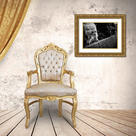 Ready To Fight Gold Ornate Wood Framed Art Print with Double Matting by Suzuki, Tatsuo