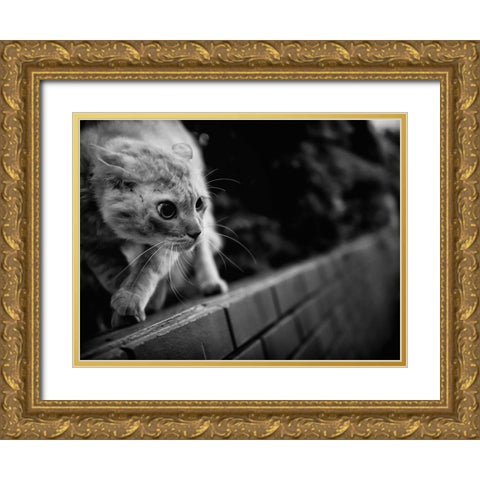 Ready To Fight Gold Ornate Wood Framed Art Print with Double Matting by Suzuki, Tatsuo