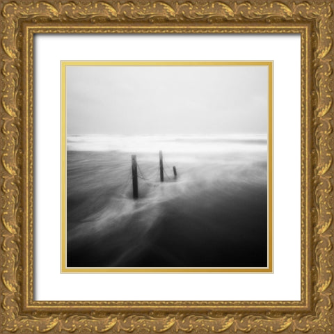 Appesi Gold Ornate Wood Framed Art Print with Double Matting by Della Latta, Massimo